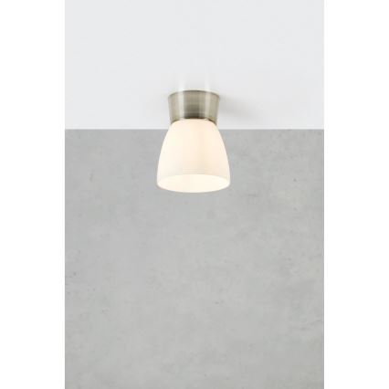 Markslöjd 109026 - Vannitoa laelamp NERJA 1xE27/40W/230V IP44 mattkroom