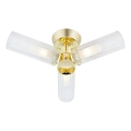 Markslöjd 109238 - Vannitoa pinnapealne lühter RIMINI 3xG9/20W/230V IP44 messing