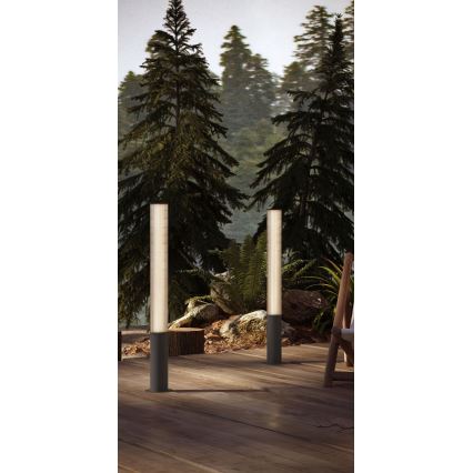 MAXLIGHT F0065 - LED välisvalgusti GARDENIA LED/25W/230V 105 cm CRI 93 IP65 antratsiit