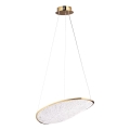 MAXLIGHT P0637D - EMPIRE kaabliga riputatav LED-lühter LED/17W/230V kuldne