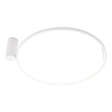 MAXLIGHT W0434 - VISUAL LED vannitoa laelamp LED/22W/230V, läbimõõt 60 cm, IP44, valge