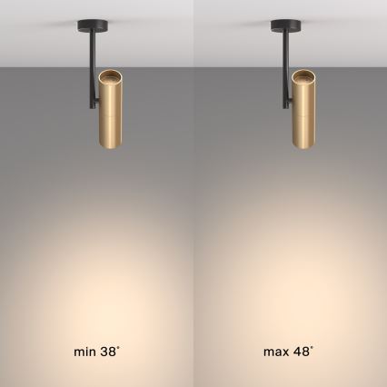 Maytoni C020CL-01GB - Kohtvalgusti ELTI 1xGU10/50W/230V kuldne