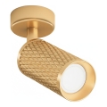 Maytoni C034CL-01G - FOCUS suunavalgusti 1xGU10/10W/230V, kuldne