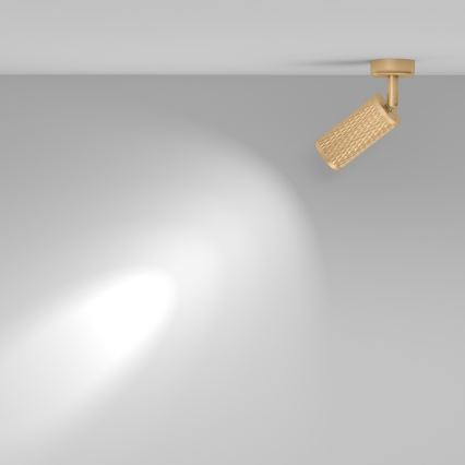 Maytoni C034CL-01G - FOCUS suunavalgusti 1xGU10/10W/230V, kuldne