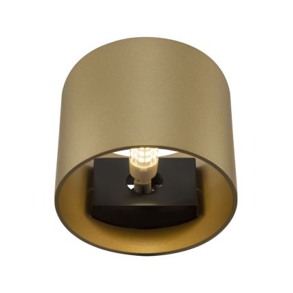 Maytoni C066WL-01MG - Seinavalgusti ROND 1xG9/50W/230V kuldne