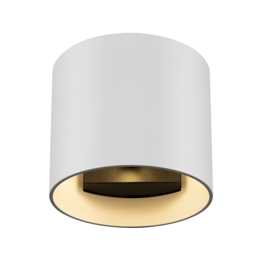 Maytoni C066WL-01W - Seinavalgusti ROND 1xG9/50W/230V valge