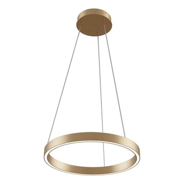 Maytoni MOD058PL-L22BS3K - LED Lühter RIM LED/25W/230V 3000K d. 40 cm kuldne