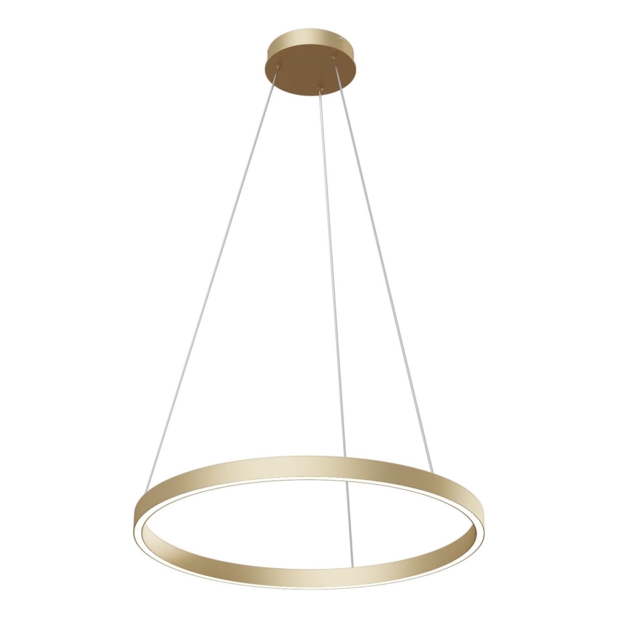 Maytoni MOD058PL-L32BS4K - LED Lühter RIM LED/37W/230V 4000K d. 60 cm kuldne