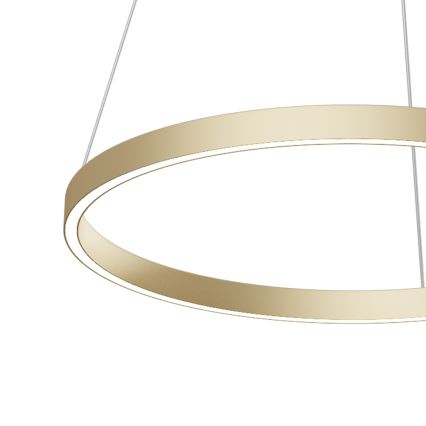 Maytoni MOD058PL-L32BS4K - LED Lühter RIM LED/37W/230V 4000K d. 60 cm kuldne