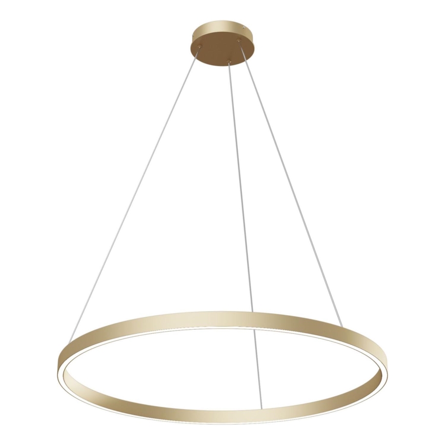 Maytoni MOD058PL-L42BS4K - LED Lühter RIM LED/51W/230V 4000K d. 80 cm kuldne