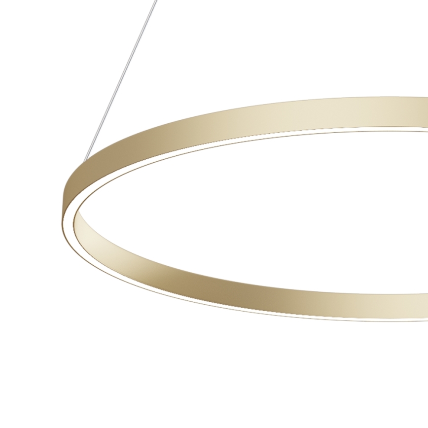 Maytoni MOD058PL-L42BS4K - LED Lühter RIM LED/51W/230V 4000K d. 80 cm kuldne