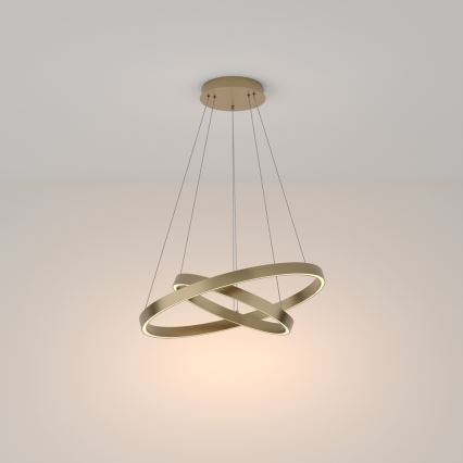 Maytoni MOD058PL-L55BS3K - LED Lühter RIM LED/61W/230V 3000K d. 60 cm kuldne