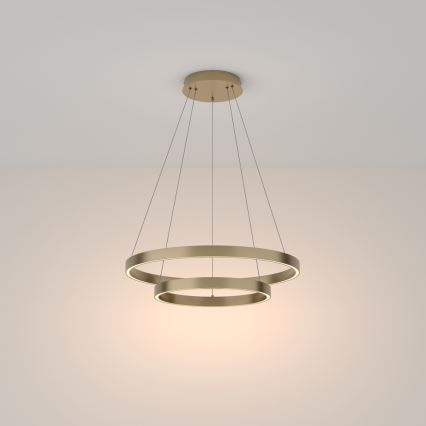 Maytoni MOD058PL-L55BS3K - LED Lühter RIM LED/61W/230V 3000K d. 60 cm kuldne