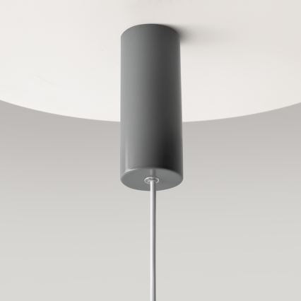 Maytoni MOD189PL-L12GR3K1 - LED-lühter kaablil GERHARD LED/19W/230V hall