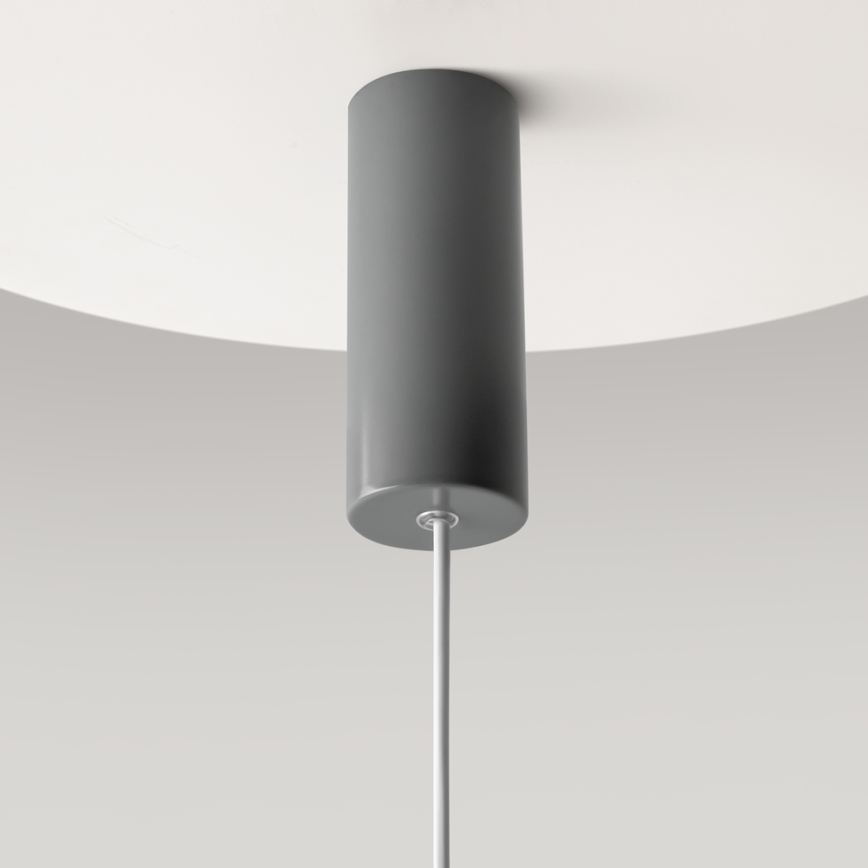 Maytoni MOD189PL-L12GR3K1 - LED-lühter kaablil GERHARD LED/19W/230V hall