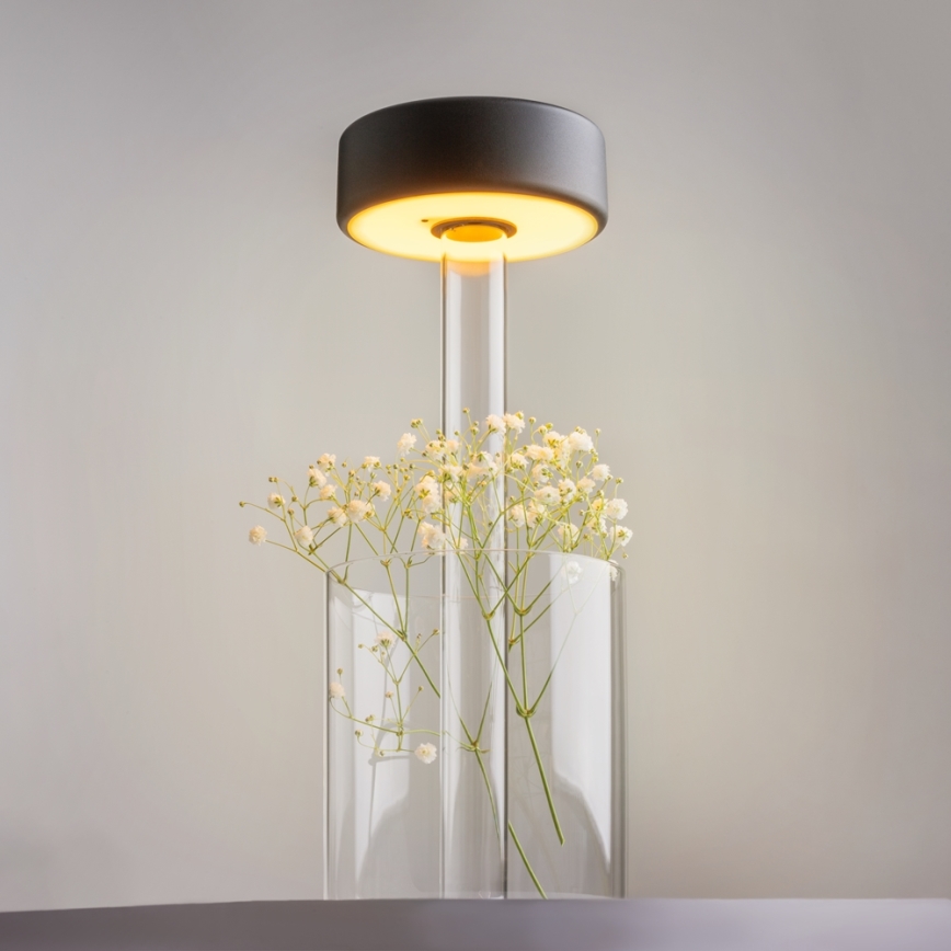 Maytoni MOD229TL-L3B3K1 - LED Hämardatav laetav kaasaskantav laualamp LED/3W/5V 2200-4000K must/läbipaistev