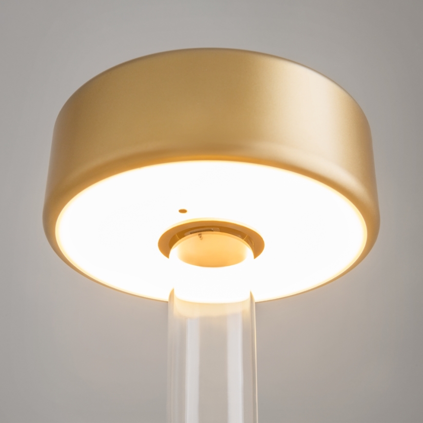 Maytoni MOD229TL-L3G3K1 - LED Hämardatav laetav kaasaskantav laualamp LED/3W/5V 2200-4000K kuldne/läbipaistev