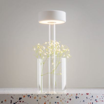 Maytoni MOD229TL-L3W3K1 - LED Hämardatav laetav kaasaskantav laualamp LED/3W/5V 2200-4000K valge/läbipaistev