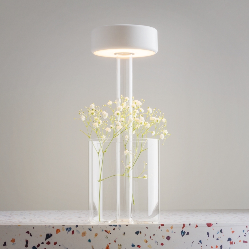 Maytoni MOD229TL-L3W3K1 - LED Hämardatav laetav kaasaskantav laualamp LED/3W/5V 2200-4000K valge/läbipaistev