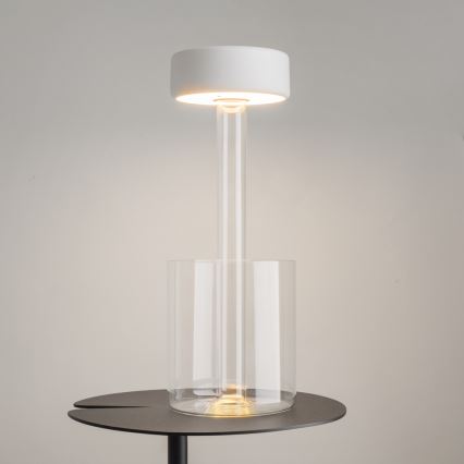 Maytoni MOD229TL-L3W3K1 - LED Hämardatav laetav kaasaskantav laualamp LED/3W/5V 2200-4000K valge/läbipaistev