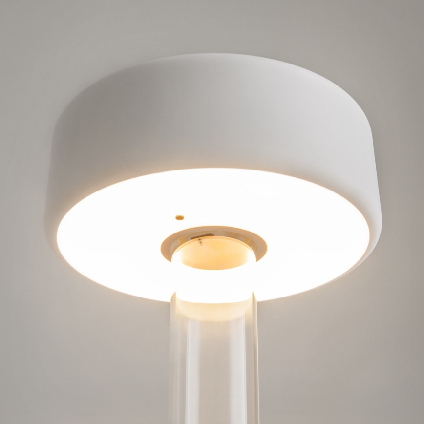 Maytoni MOD229TL-L3W3K1 - LED Hämardatav laetav kaasaskantav laualamp LED/3W/5V 2200-4000K valge/läbipaistev