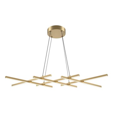 Maytoni MOD244PL-L50BSK - LED rippvalgusti kaabliga HALO LED/40W/230V kuldne