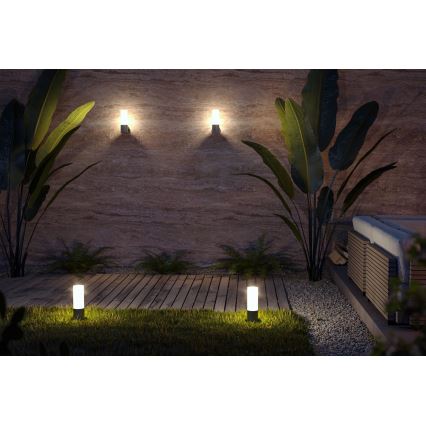 Maytoni O418WL-01GR - Väli seinavalgusti WILLIS 1xE27/60W/230V IP54 antratsiit