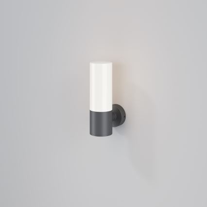 Maytoni O418WL-01GR - Väli seinavalgusti WILLIS 1xE27/60W/230V IP54 antratsiit