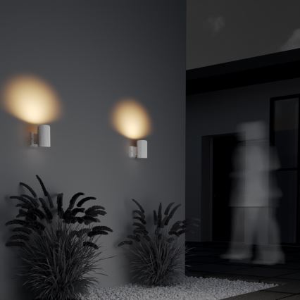 Maytoni O419WL-01W - Välisseinavalgusti RANDO 1xE27/60W/230V IP54 valge