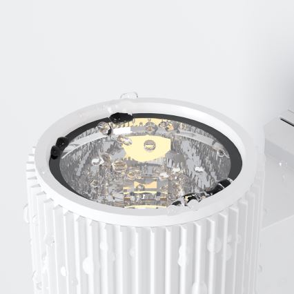 Maytoni O419WL-01W - Välisseinavalgusti RANDO 1xE27/60W/230V IP54 valge