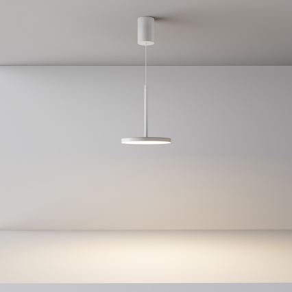 Maytoni P076PL-L12W3K-W - LED Lühter PLATO LED/12W/230V 3000K valge