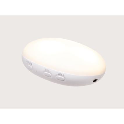 Moonie - Unisõber meloodiaga ja valgusega, hüljes, liivakarva