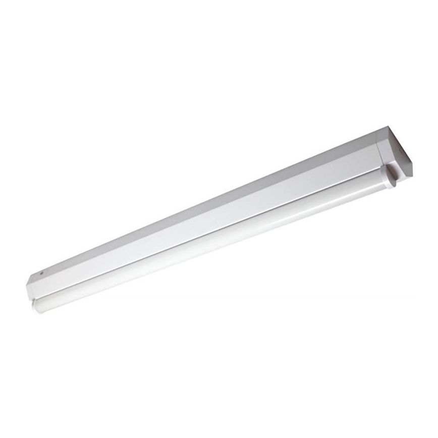 Müller-Licht - LED Luminofoorvalgusti BASIC LED/15W/230V 60 cm