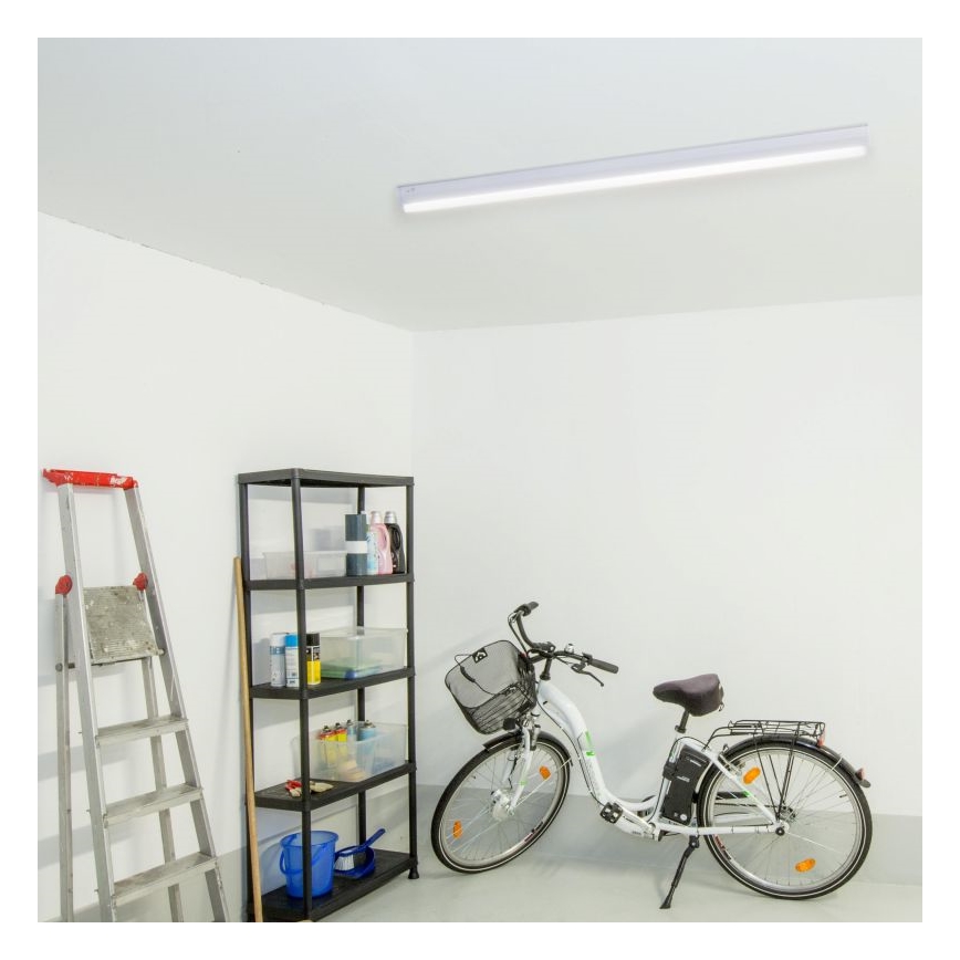 Müller-Licht - LED Luminofoorvalgusti BASIC LED/15W/230V 60 cm