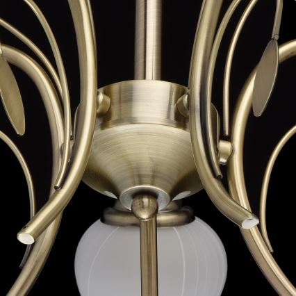 MW-LIGHT - Kinnitatav lühter FLORA 5xE14/60W/230V