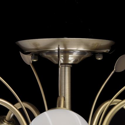 MW-LIGHT - Kinnitatav lühter FLORA 5xE14/60W/230V