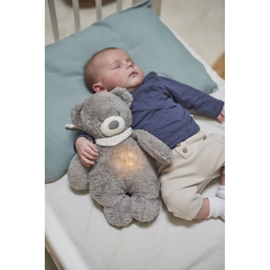 Nattou - Kaisuloom meloodia ja valgusega SLEEPY BEAR 4-ühes hall