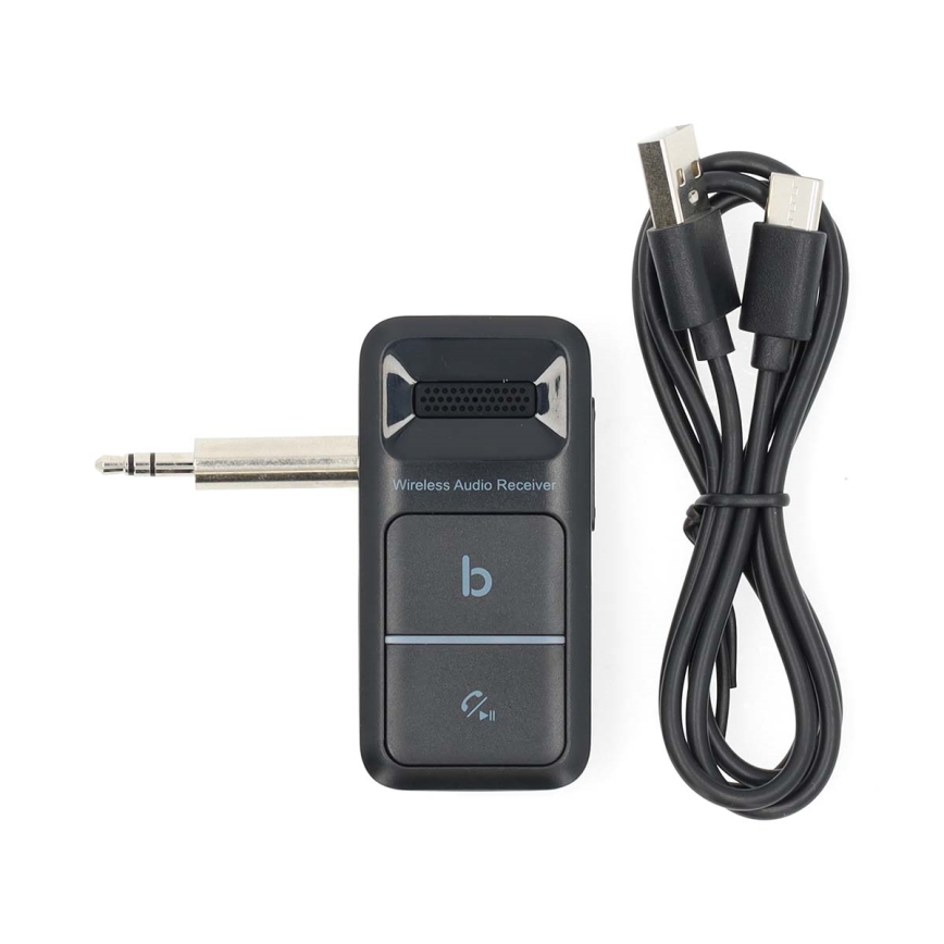Kaasaskantav Bluetooth AUX vastuvõtja