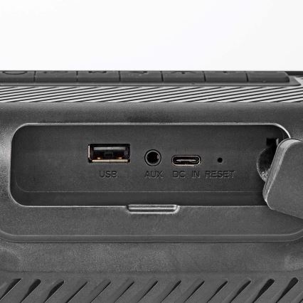 LED RGB Laetav kõlar 45W/3000 mAh IPX5