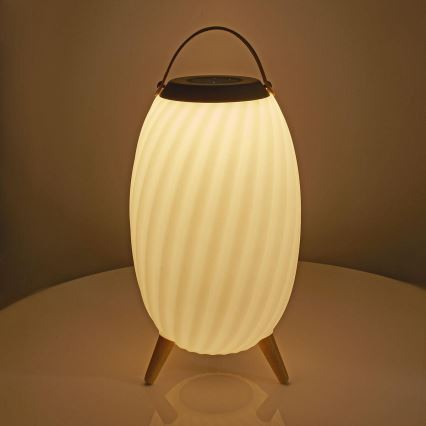 LED RGB Laetav laualamp kõlariga 60W/2200 mAh IPX5