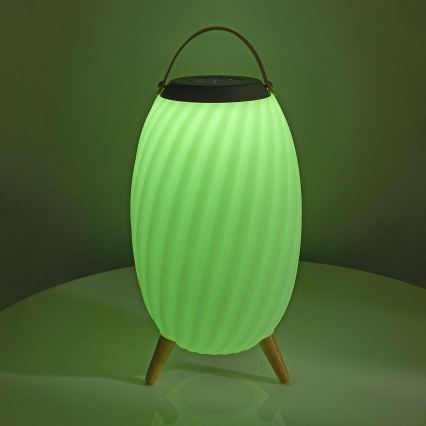 LED RGB Laetav laualamp kõlariga 60W/2200 mAh IPX5