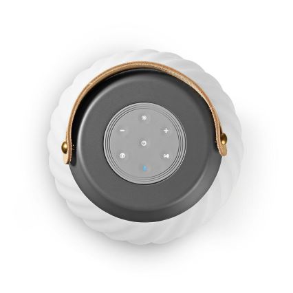 LED RGB Laetav laualamp kõlariga 60W/2200 mAh IPX5