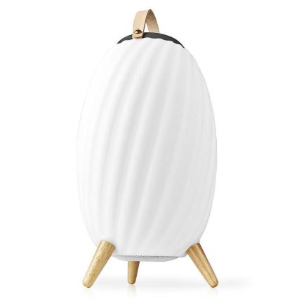 LED RGB Laetav laualamp kõlariga 60W/2200 mAh IPX5