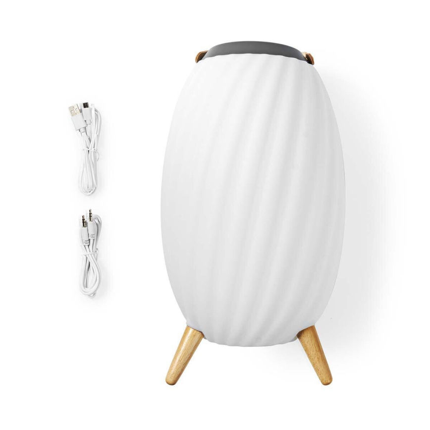 LED RGB Laetav laualamp kõlariga 60W/2200 mAh IPX5