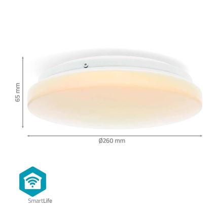 LED RGBW Hämardatav laevalgusti vannituppa SmartLife LED/18W/230V 2700-6500K IP44 Wi-Fi Tuya