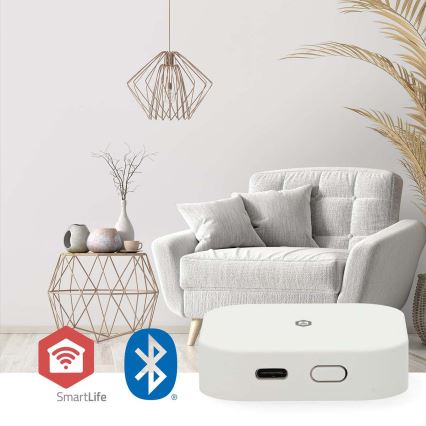 SmartLife 5V Wi-Fi nutikas värav