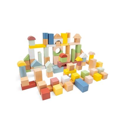 New Classic Toys - Puidust klotsid 100 tk