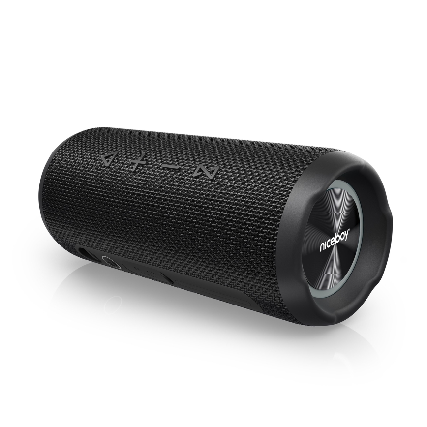 Niceboy Nexus - LED Juhtmevaba kõlar mikrofoniga 26W/4000 mAh IPX6 must