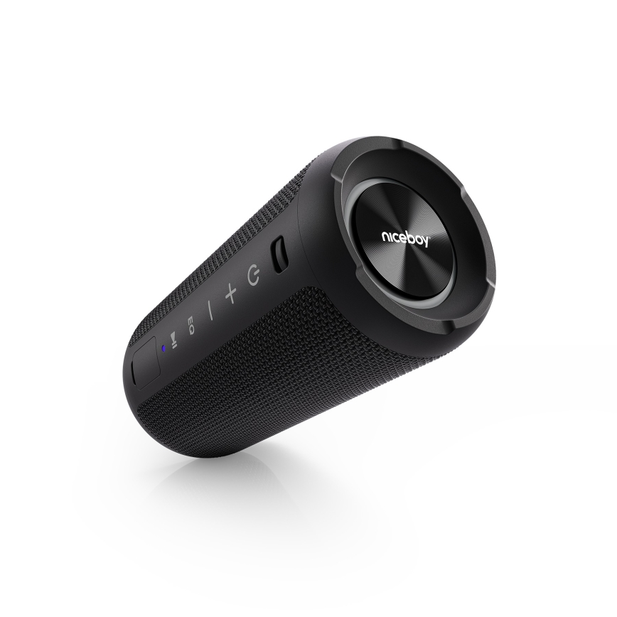 Niceboy Orion - LED Juhtmevaba kõlar mikrofoniga 24W/2200 mAh IPX7 must