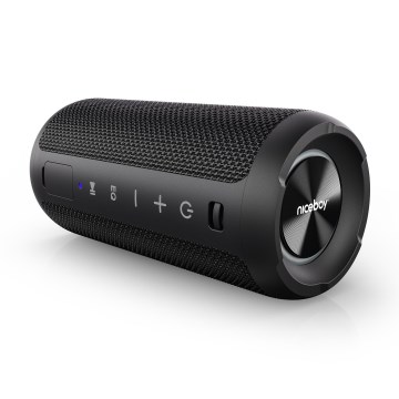 Niceboy Orion - LED traadita kõlar mikrofoniga 24W/2200 mAh IPX7 must